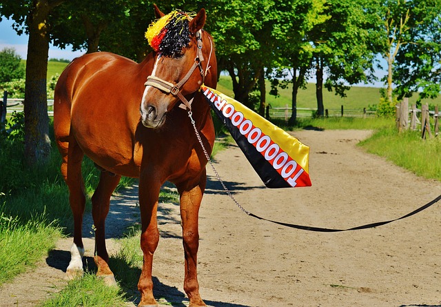 任意球破門 任意球破門