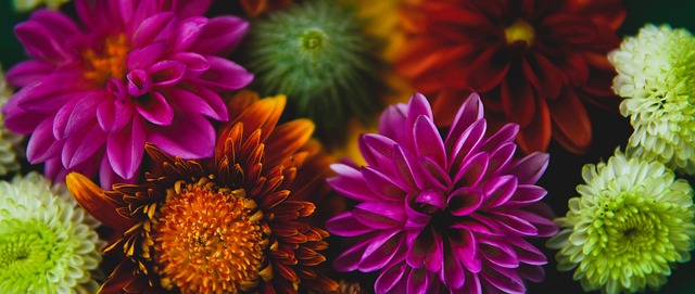 化的打法要 化的打法要