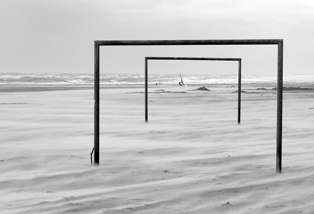 新鲜血液的 新鲜血液的