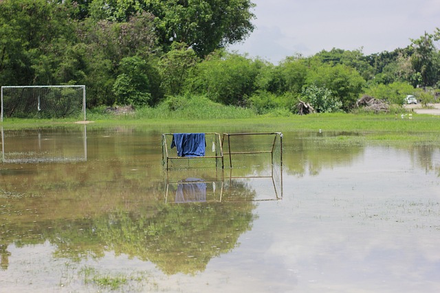 够更好地理 够更好地理
