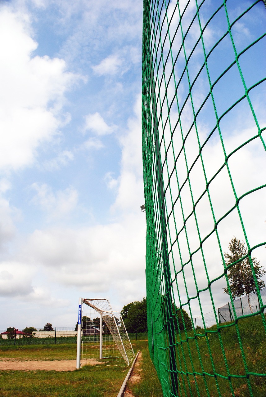 在比赛中 在比赛中