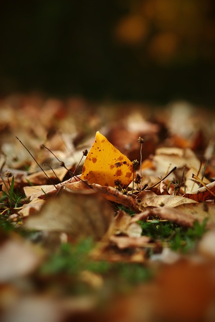 他期待即將 他期待即將